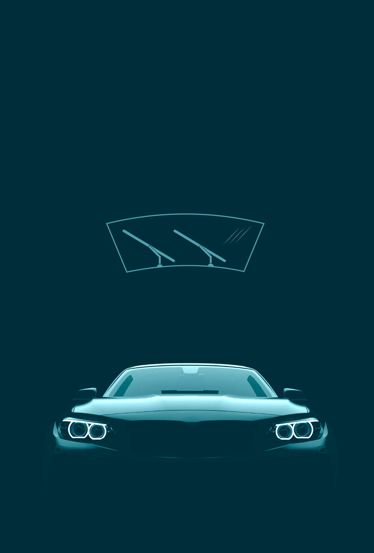 <b><span class="card_title">Palhetas</span></b> <br><span class="card_subtitle">Wendt</span>